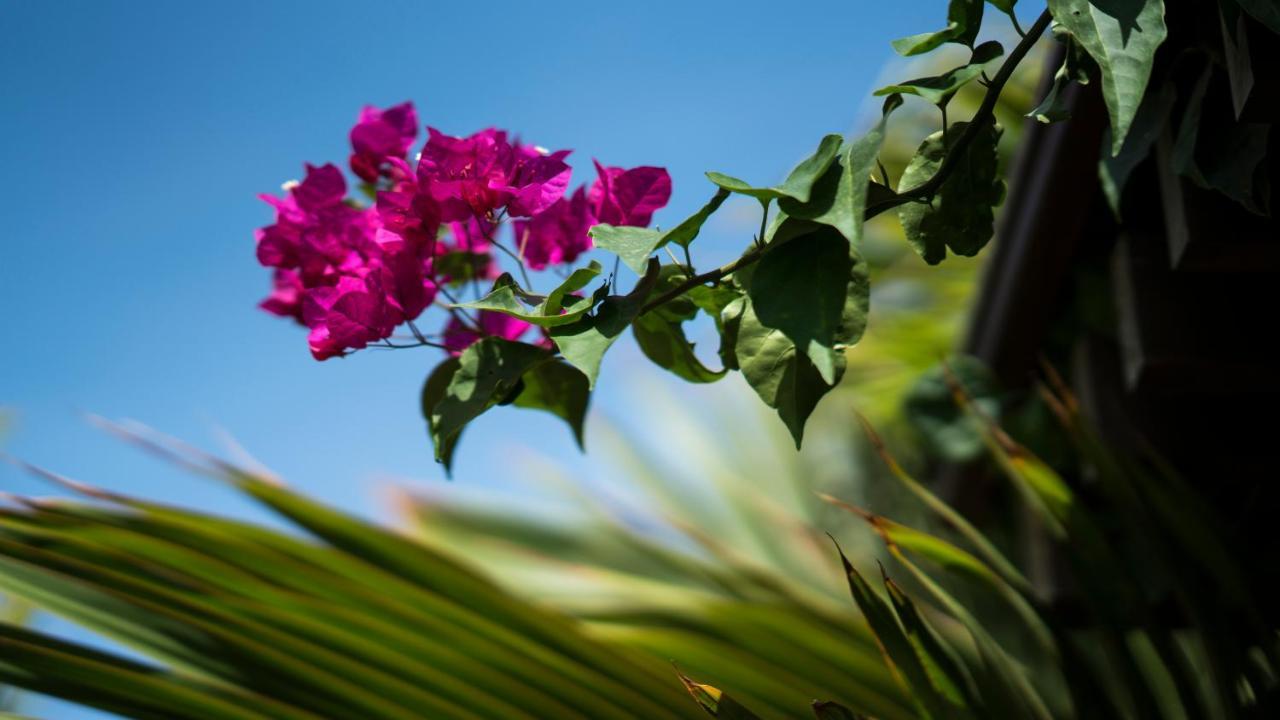 Costa Esmeralda Village Palm Beach Eksteriør bilde